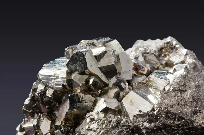 Minerais Quelados