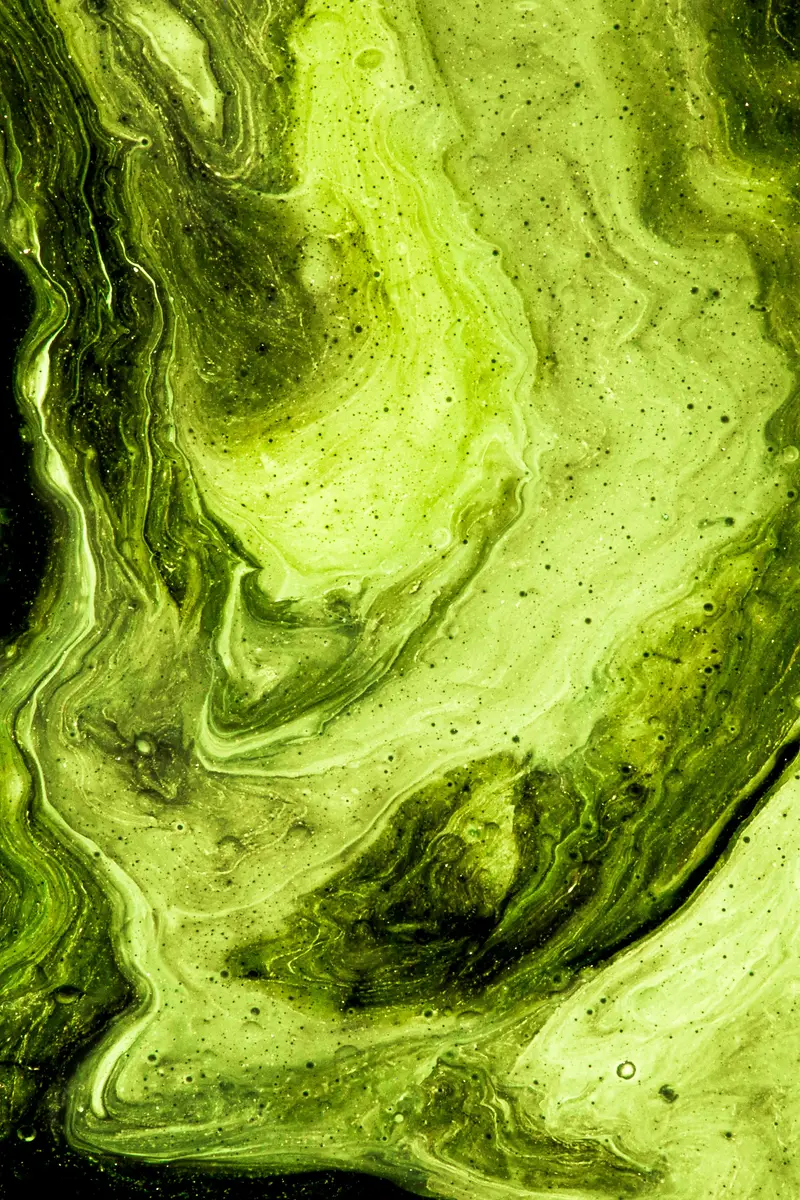 Spirulina + Chlorella