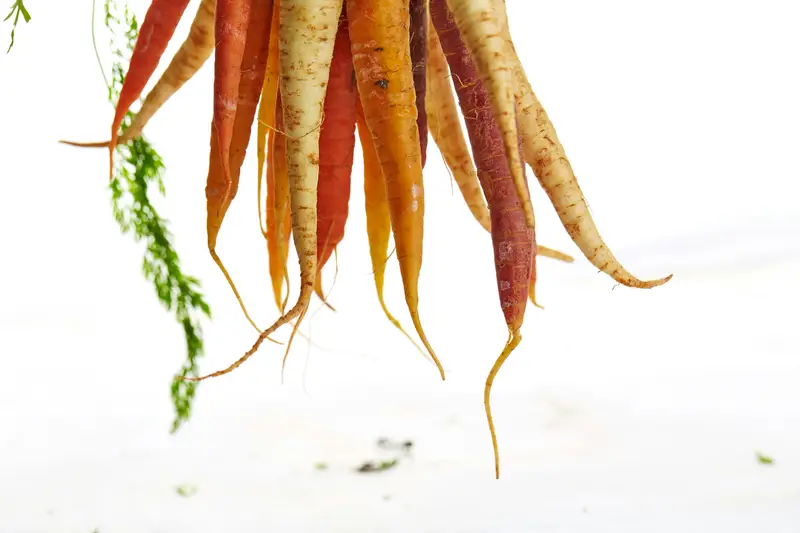 Vitamina A 1256 μg