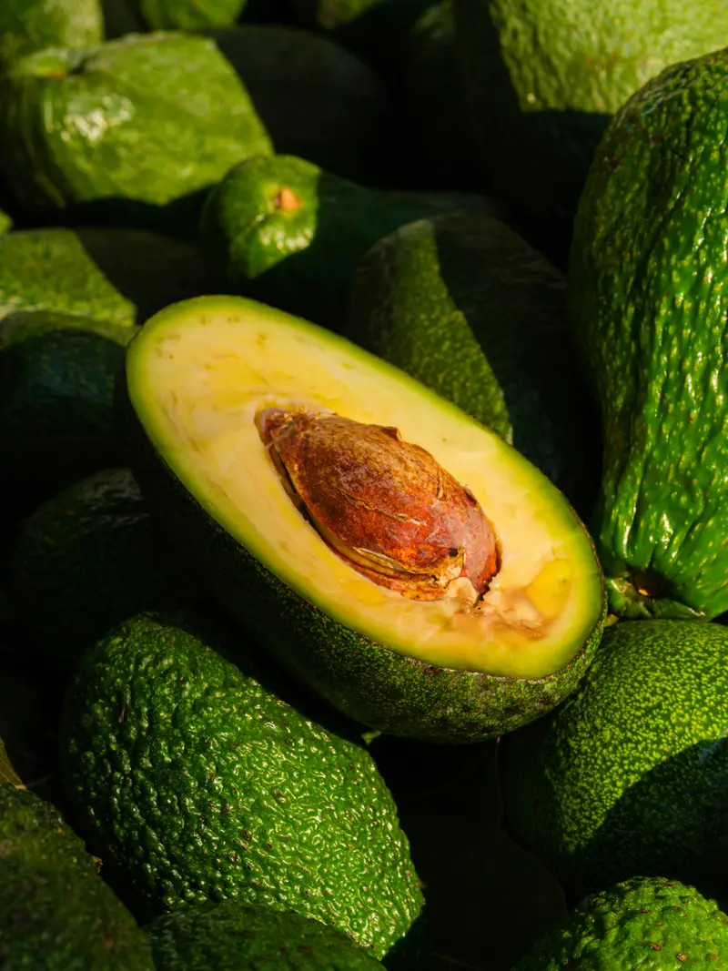 Vitamina E 9 mg